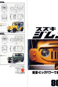 20980437or.jpg