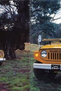 20980436nf.jpg
