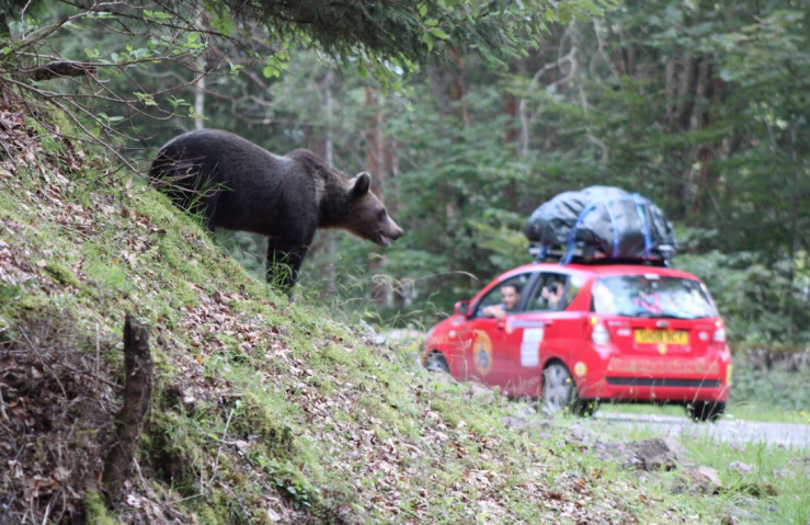 Transfăgărășan